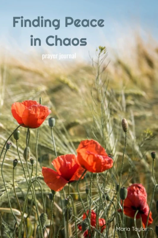 Finding Peace in Chaos Prayer Journal with bonus gratitude journal