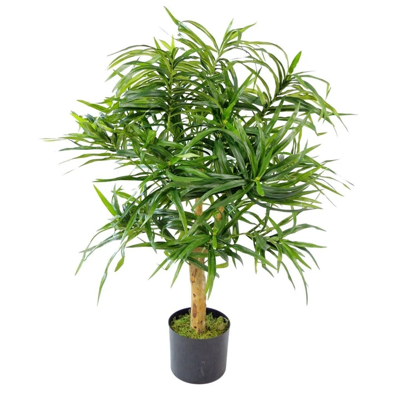Leaf Realistic Artificial Ficus Tree / Plant 100cm Dracaena Spike,100cm Dracaena Spike,100cm,AZ-FICUS