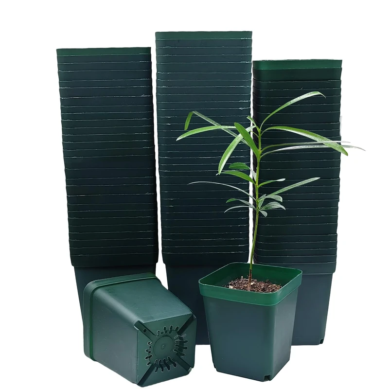 Nore Square Plastic Nursery Succlent Flower Grow Pots 100pcs/pack (Green, 8cm/3.14")