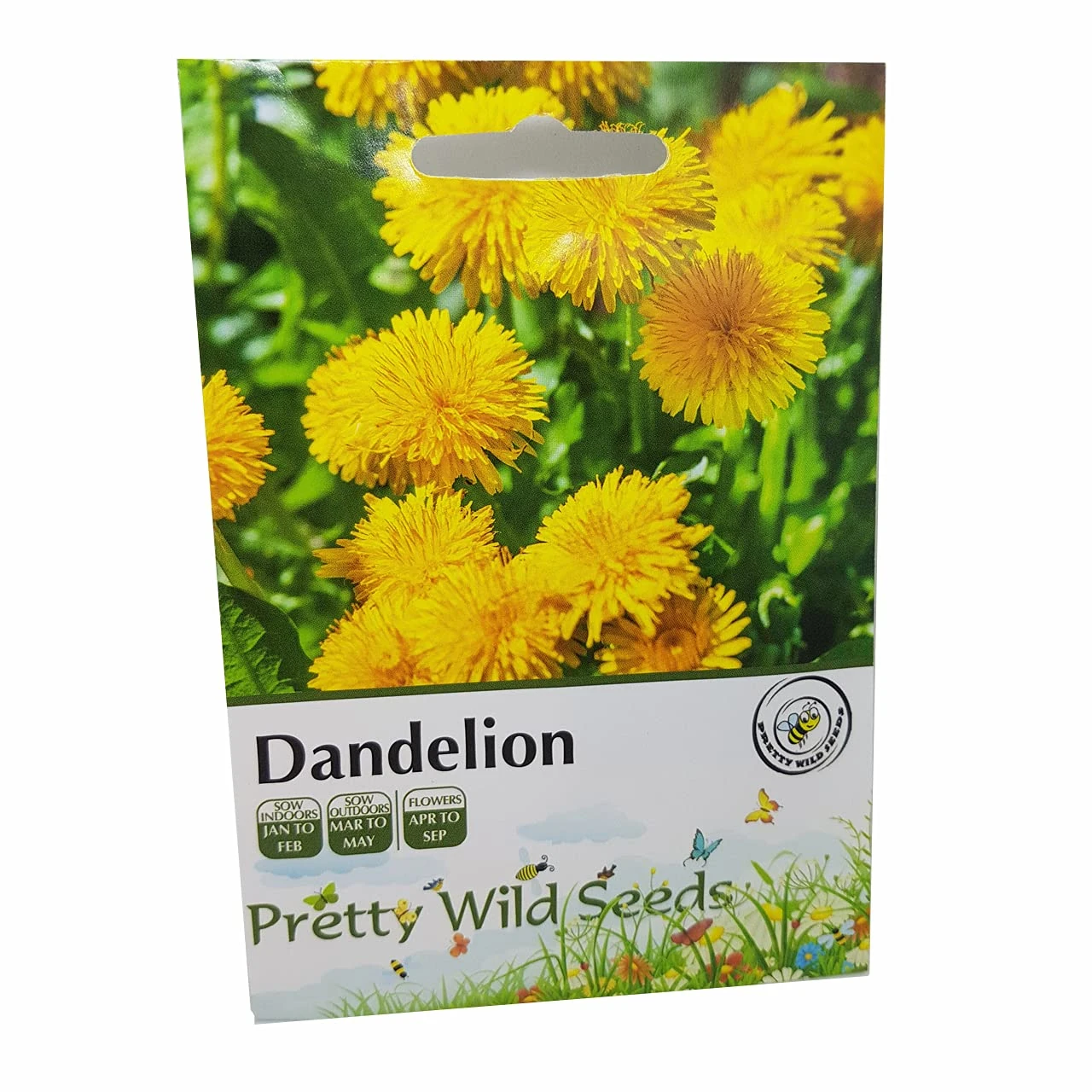 Dandelion Wildflower Seeds in Pictorial Packet from a UK Seller