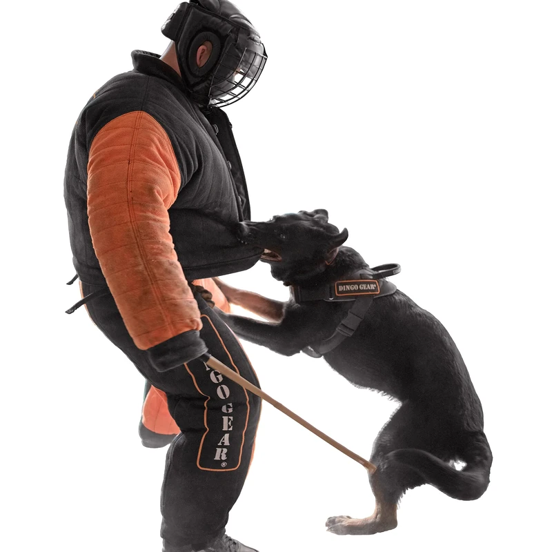 DINGO GEAR Bite Suit L - Decoy Dog Training for Mondioring, IGP, K9