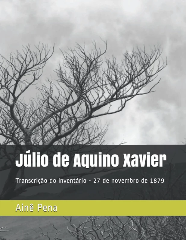 Júlio de Aquino Xavier: Transcrição do Processo de Inventário - 27 de novembro de 1879 - Image 1