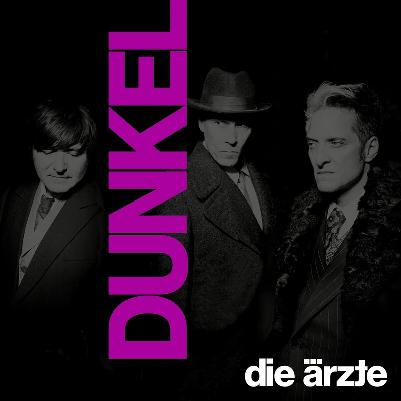 Dunkel (Ltd. Doppelvinyl im Schuber mit Girlande) [VINYL]