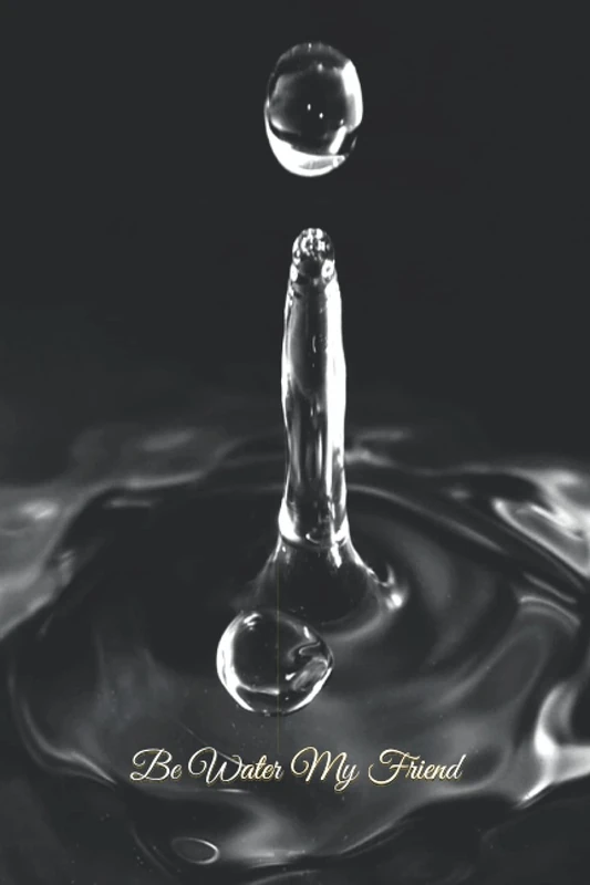 Be Water My Friend: 333 Blank Notebook Pages Ask and you shall receive. Write to your wishes they will all come true. - Image 1