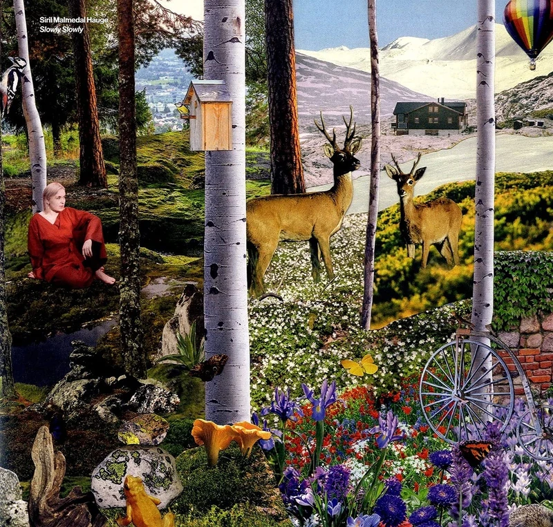 Slowly,Slowly. [Vinyl LP] [VINYL]