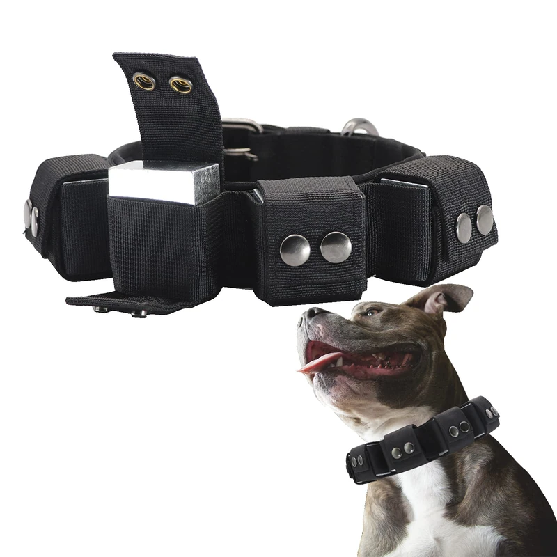Walktime Tactical Weighted Dog Collar - Training Weights