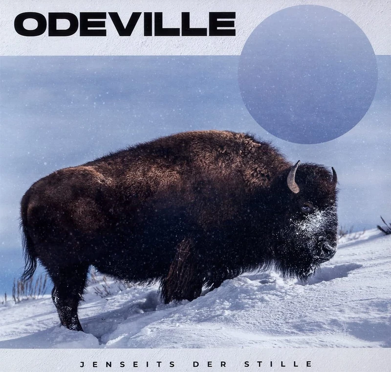 Jenseits der Stille (Lp) [VINYL]