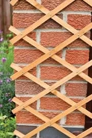 kanta 2x Large Expanding Wooden Trellis | 6Ft x 2Ft