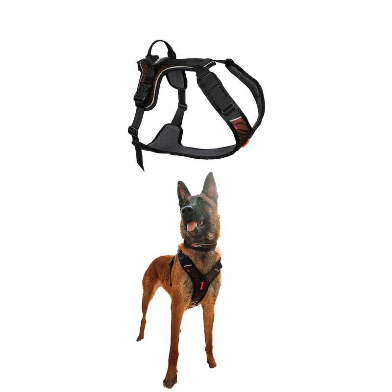 Rock Harness Parent (L)