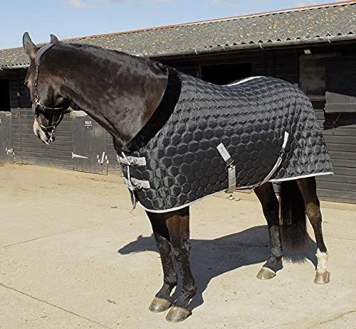 Rhinegold Michigan Stable Quilt-5/6-Black