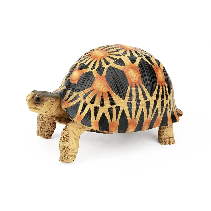TERRATLANTIS TD Radiated Turtle