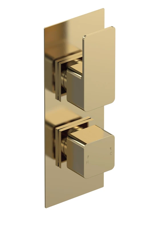 nuie WIN8TW01 Windon Modern Bathroom Concealed Square Twin Thermostatic Shower Valve, 215mm, Brushed Brass