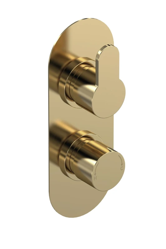 nuie ARV8TW01 Arvan Modern Bathroom Concealed Round Twin Thermostatic Shower Valve, 215mm, Brushed Brass