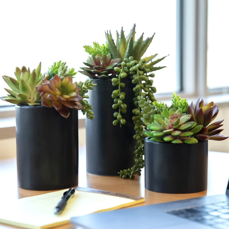 SEEKO Artificial Succulents in Ceramic Pots - Set of 3 Realistic & Beautiful Assorted Fake Succulents for Matte Black Decor, Desk Decor, Office Plants and Succulent Decor (Black Pot)