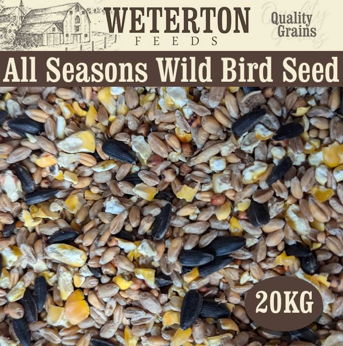 Weterton Feeds Premium All‑Season Wild Bird Seed with Aniseed, 20 kg | High‑Energy UK-Grown Wild Bird Food to Attract Small Garden Birds