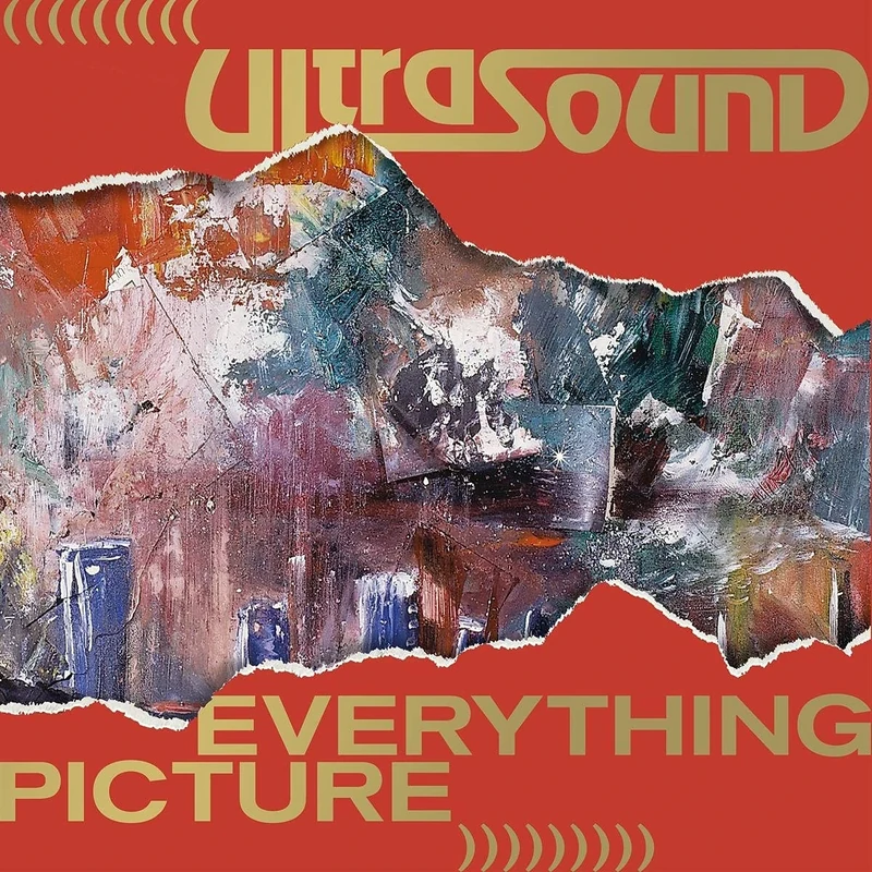 Everything Picture (Deluxe Edition) [VINYL]
