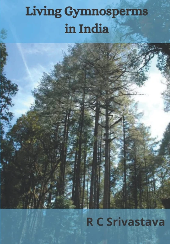 Living Gymnosperms in India