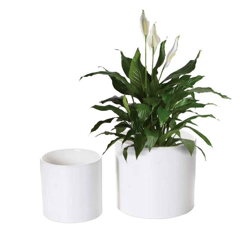 Nihow Flower Pot - 5 & 7 Inch Ceramic Planter Pots for Indoor Plants - Sturdy & Mordern Cylinder Plant Pot with Drainage & Removeable Rubber Plugs - Matte White (Set of 2) - Plants Not Included - Image 1