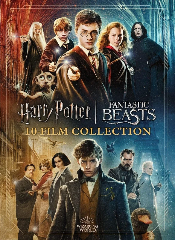Wizarding World 10-Film Collection - 20th Anniversary [DVD]