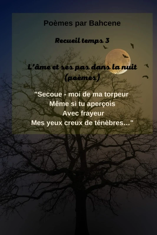 L’âme et ses pas dans la nuit.: Poèmes de l'âme Recueil Temps 3. (Poèmes de l'âme par BAHCENE en 04 Temps.) - Image 1