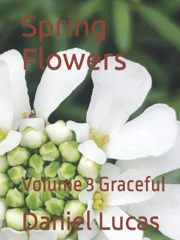 Spring Flowers: Volume 3 Graceful