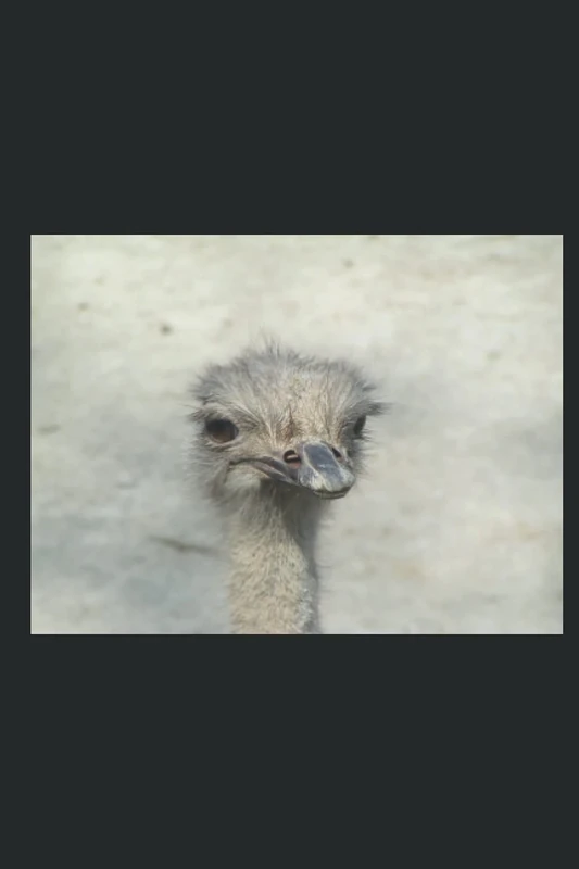 THE Revolution and so the Age of AQUARIUS started New the Years Day 2019: The Great Sign in the Heavens predicted by Jesus Christ 'the Sign of the Son ... HAS 666 DIMENSIONS BUT the Godhead 144,000)