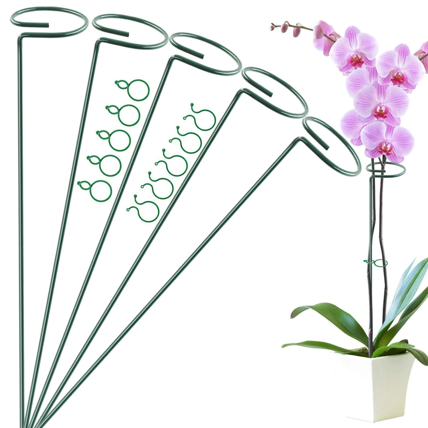 5 Pack 40 cm 16 inch Plant Support Stakes, Garden Single Stem Support Stake Amaryllis Plant Cage Support Rings with 10 pcs Plant Clips for Tomatoes Orchid Lily Peony Rose Flower Stem (40 CM)