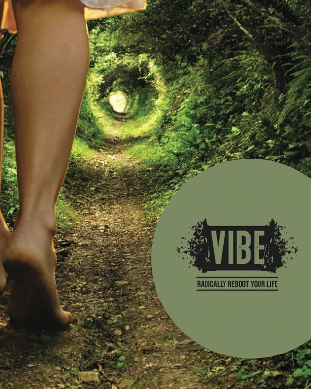 VIBE: Radically Reboot Your Life Manual