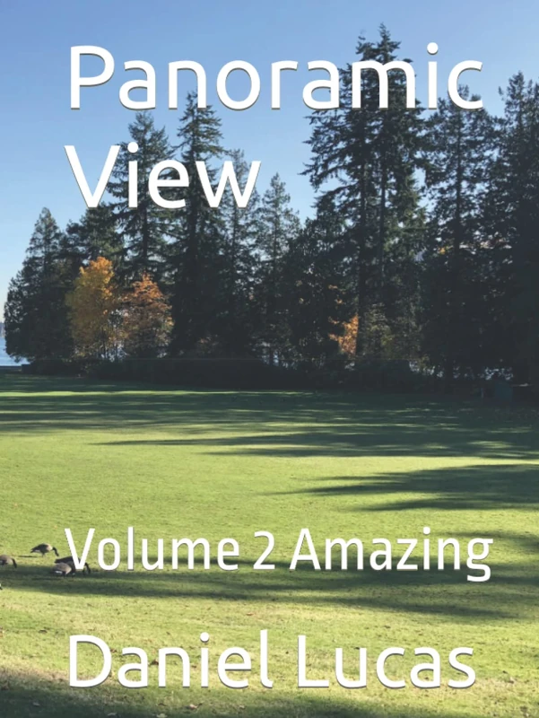 Panoramic View: Volume 2 Amazing