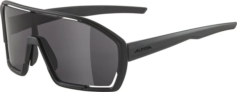 ALPINA Unisex - Adult, BONFIRE sports glasses, all black matt, One Size