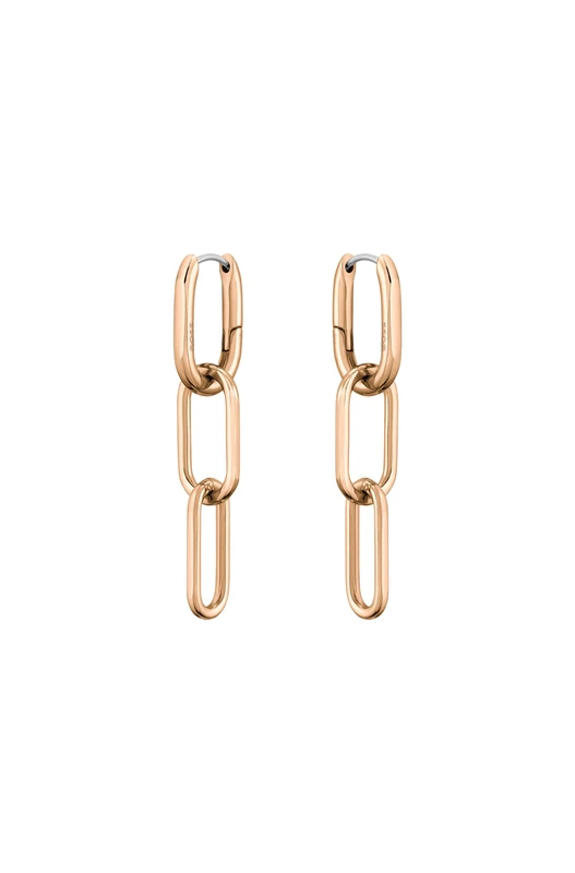 BOSS Jewelry Women's TESSA Collection Hinge Earrings - 1580202