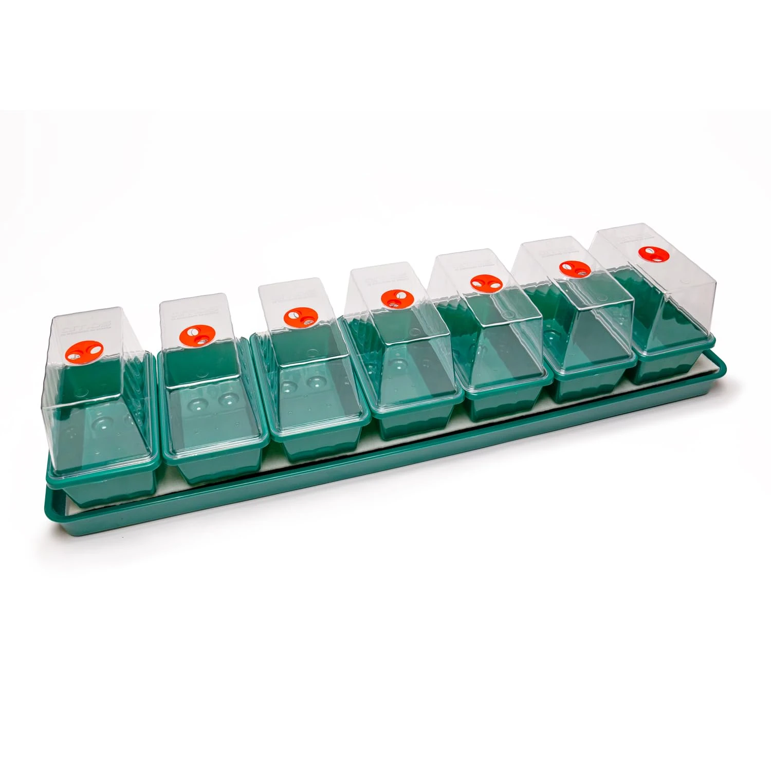 AMOS Eezy Grow Self-Watering Propagator – Effortless Seed Germination & Cutting Propagation Indoor with Automatic Capillary Watering System & Large Reservoir for Healthy Plant Growth