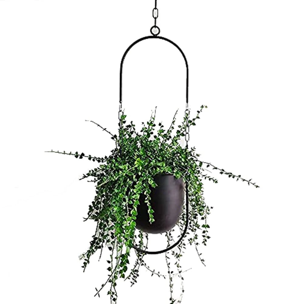 Beihaoer Hanging Decoration Pot Metal Boho Hanging Basket Ceiling Hanging Planter for Indoor Plants Succulents Air Plants Cactus (Black)
