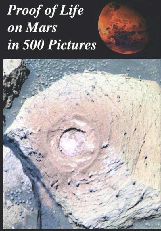 Proof of Life on Mars in 500 Pictures:: Tube Worms, Martian Mushrooms, Metazoans, Microbial Mats, Lichens, Algae, Stromatolites, Fungus, Fossils, Growth, Movement, Spores and Reproductive Behavior - Image 1