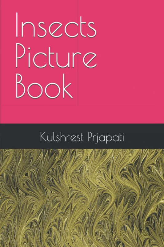 Insects Picture Book