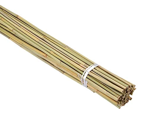 2FT-3FT-4FT-5FT-6FT Bamboo Garden Canes/Stake/Pole Garden Plant Flower Support Sticks Outdoor/Indoor Natural Strong Plants Support (20, 3ft -90cm (10-12mm))