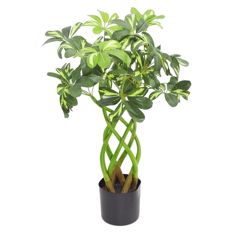 Leaf Artificial Arboricola Evergreen Plant, Bonsai Twist, 70cm
