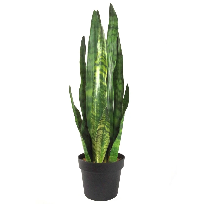 Leaf Design Tropical Artificial Plants, 70cm Sansevieria Zeylanica