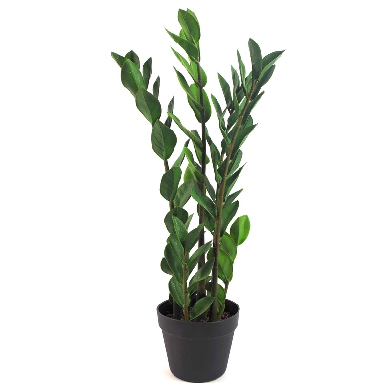 Leaf Design Tropical Artificial Plants,75cm Zamioculcas