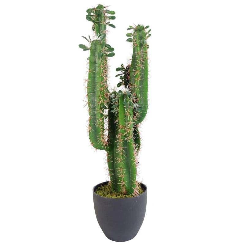 Leaf Design Tropical Artificial Plants, 75cm Cacti, 75cm