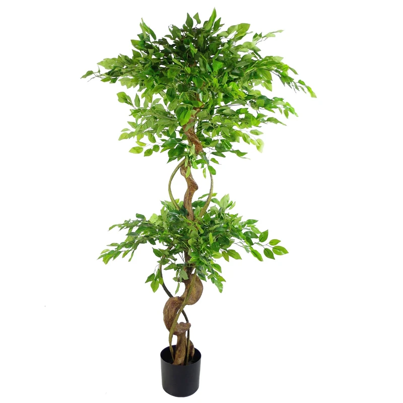 Leaf Design UK Artificial Evergreen Large Trees,150cm Large Twisted Ficus,150cm