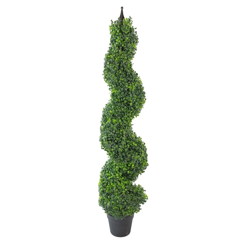 Leaf Design UK Buxus Boxwood Spiral Trees