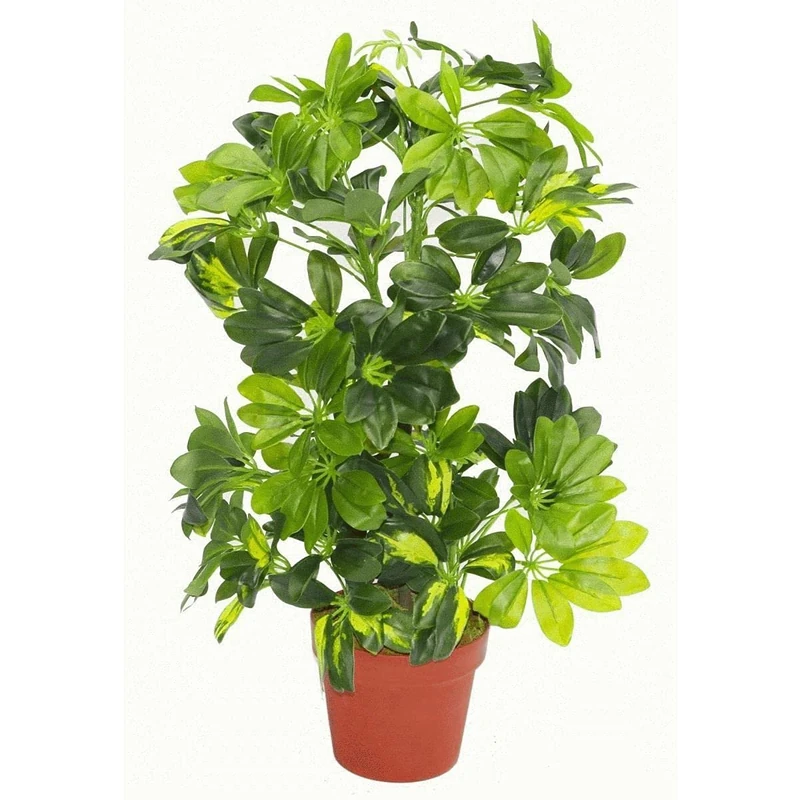 Leaf Artificial Arboricola Evergreen Plant