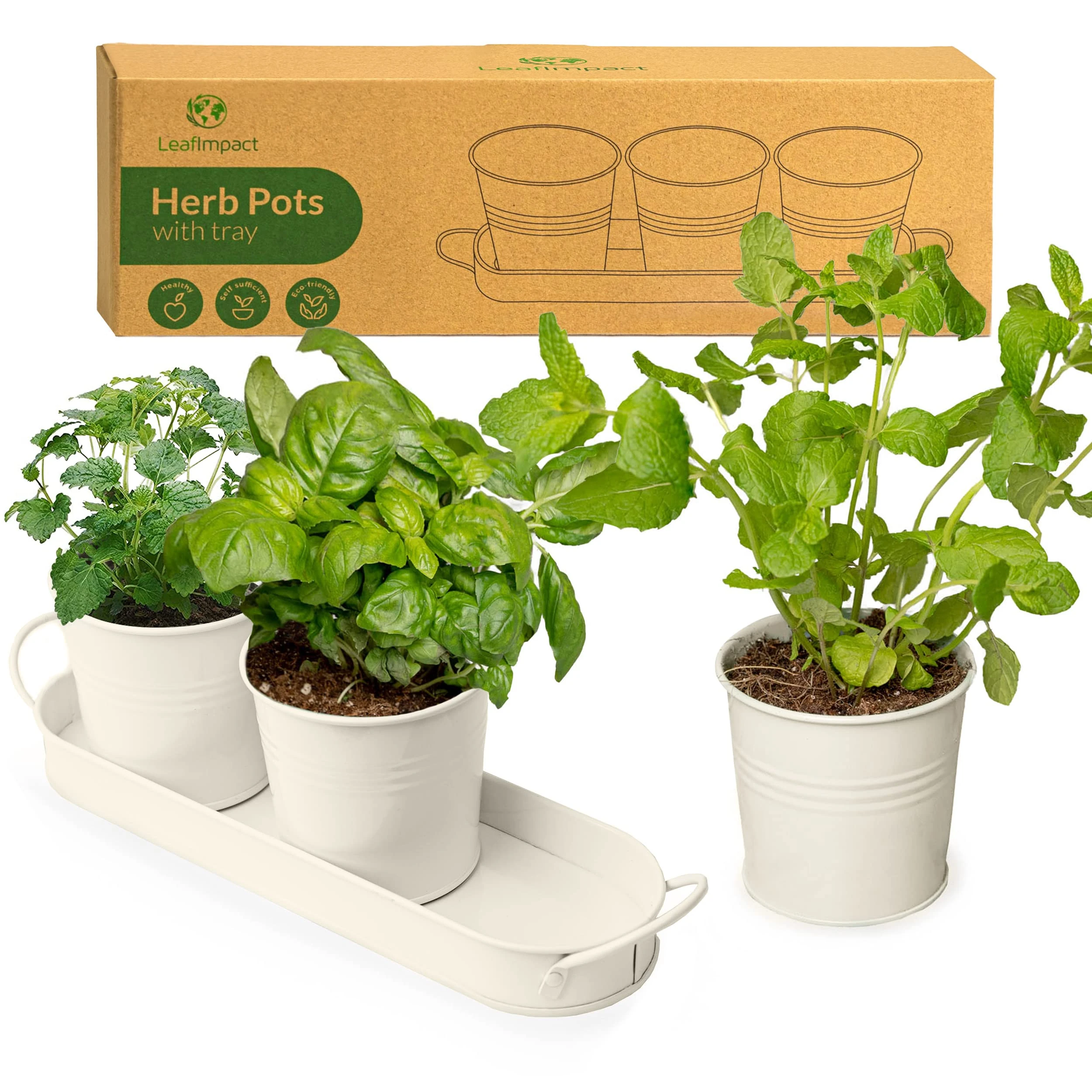 Herb Planter Indoor | Grow Fresh Herbs at Home | Herb Pots for Kitchen & Windowsill | Kitchen Herb Garden | Indoor Herb Planter | Includes Drain Hole | Garden Pots for Basil, Mint, Parsley and More