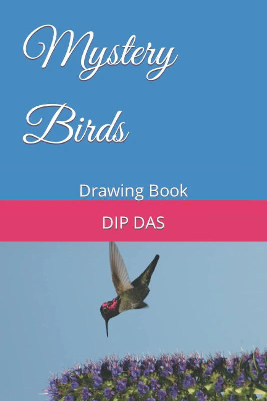 Mystery Birds: Drawing Book