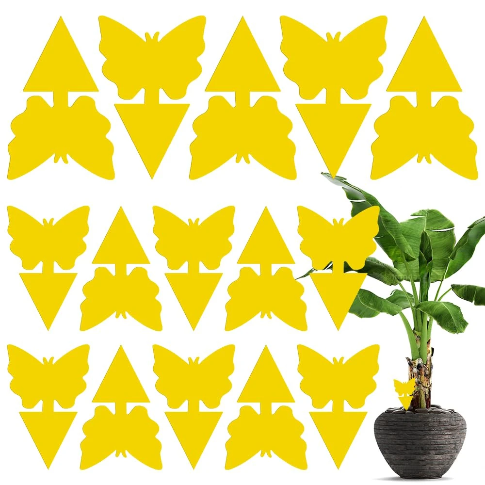 lohey 15 Pack Fruit Trap, Yellow Fly Catcher Fungus Gnat Killer, Double-Sided Sticky Fly Trap for Houseplant Indoor and Outdoor Plants
