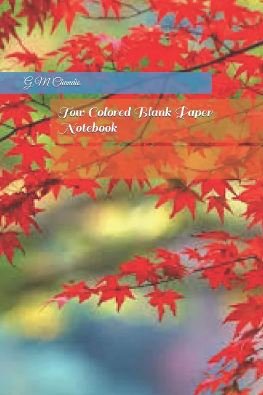 Tow Colored Blank Paper Notebook