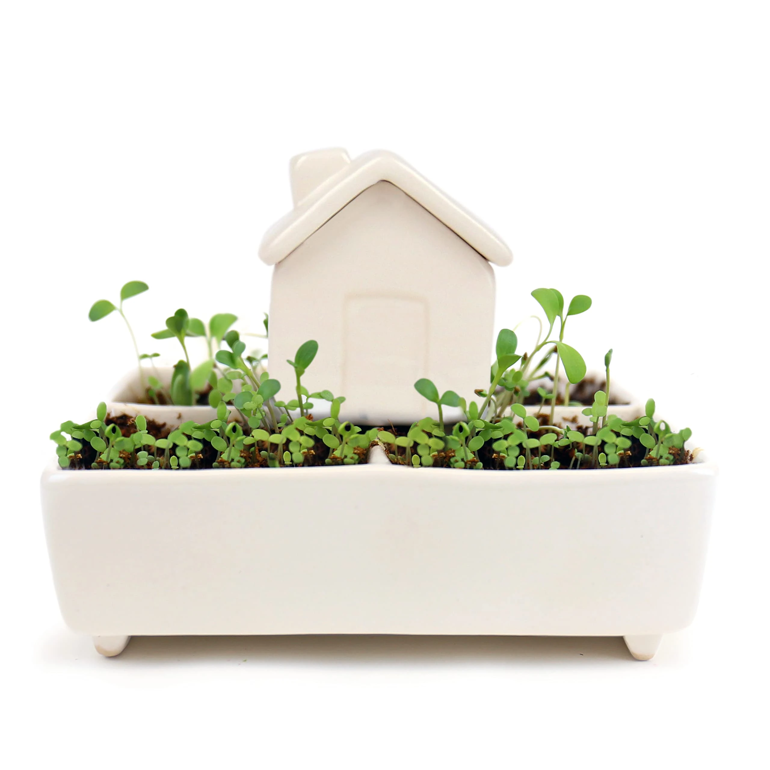 Gift Republic Self Watering House Herb Grow Kit Basil Rosemary Thyme Parsley Seeds Kitchen Garden Gift, White