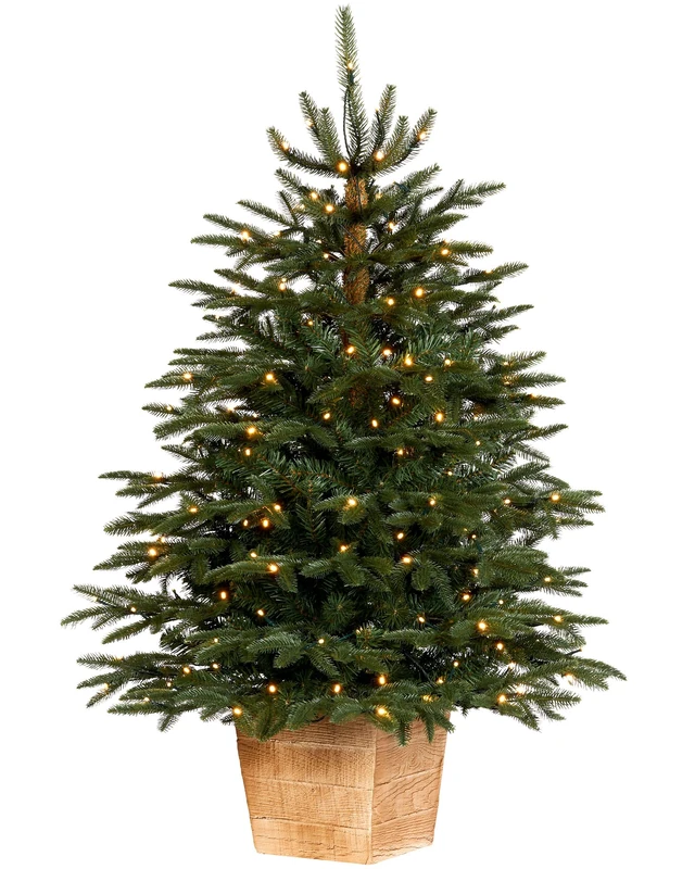Pre-Lit Potted Alaskan Fir Christmas Tree, 150 Warm White LED Lights