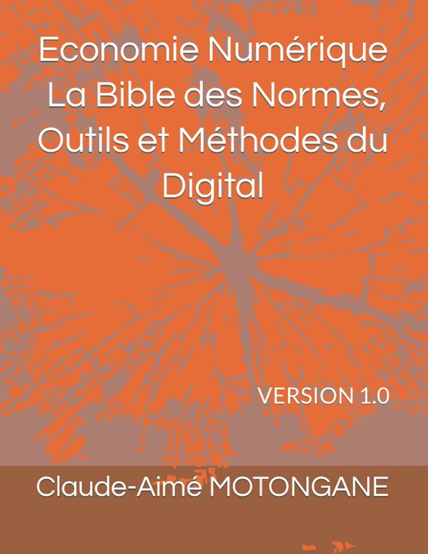 LA BIBLE DES NORMES OUTILS ET METHODES DU DIGITAL: VERSION 1.0